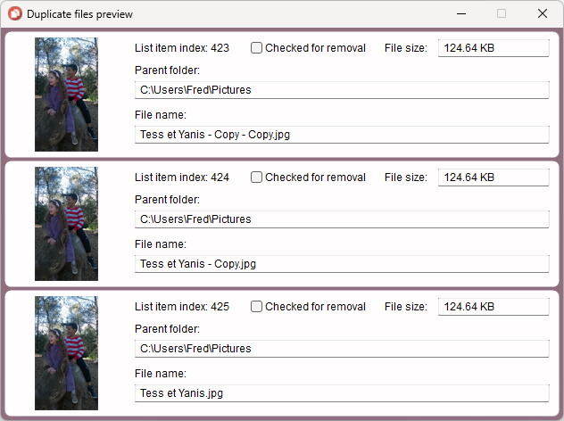 UnDuplicate's preview window