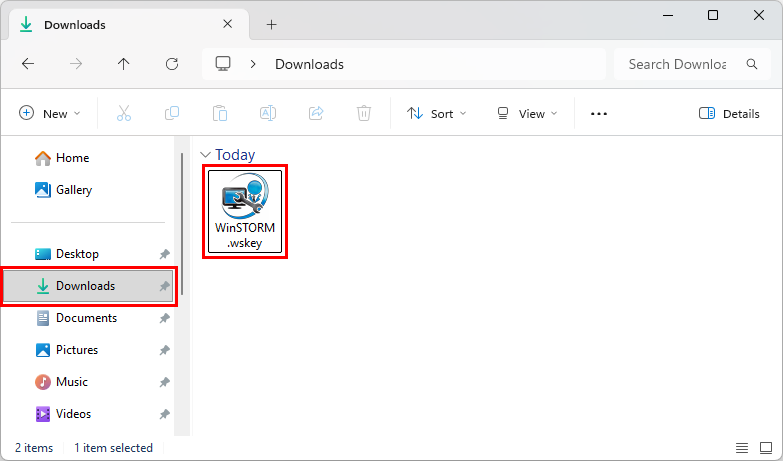 Downloads folder with Win STORM license inside