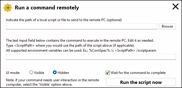Run custom command or script ermotely